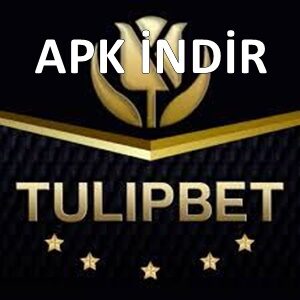 tulipbet apk indir