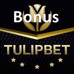 tulipbet bonus