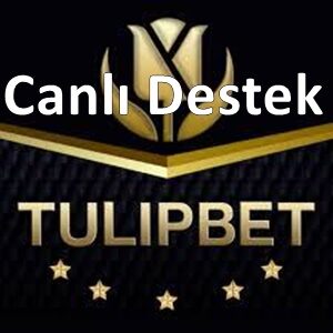 tulipbet canlı destek