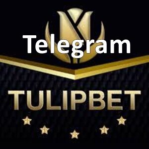 tulipbet telegram