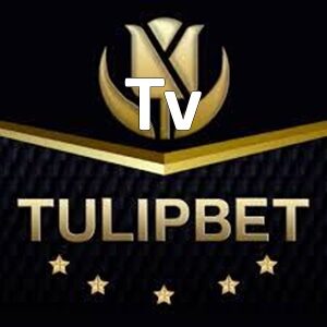 tulipbet tv