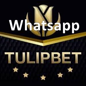 tulipbet whatsapp